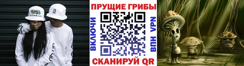 Псилоцибиновые грибы ЛСД Цивильск