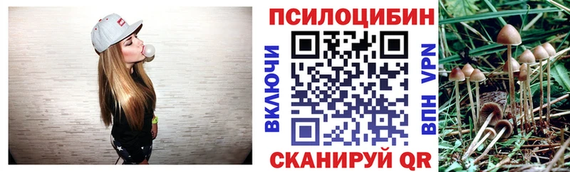 Галлюциногенные грибы GOLDEN TEACHER  Цивильск 